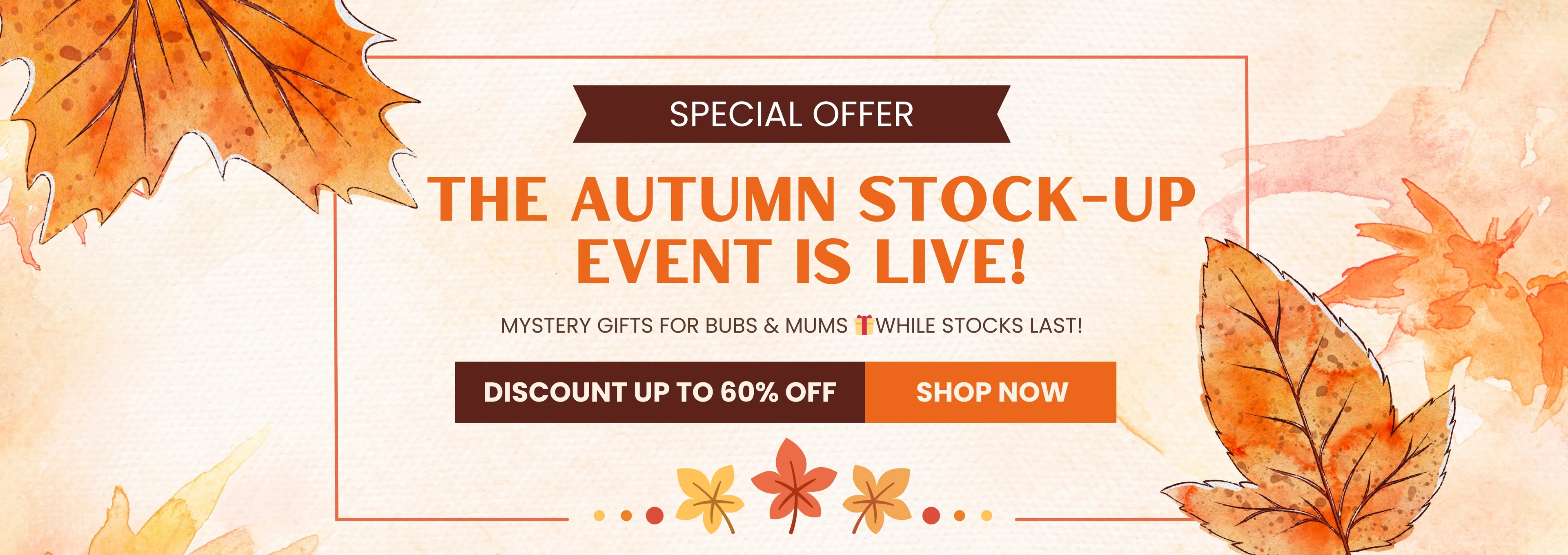 Welcome to Our Store